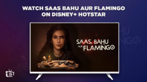 How to Watch Saas Bahu aur Flamingo in France on Hotstar [Easy Guide]