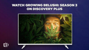 How To Watch Growing Belushi Season 3 on Discovery Plus in Netherlands in 2023?