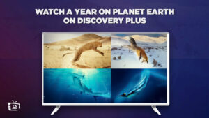 How To Watch A Year On Planet Earth in Italy on Discovery Plus?