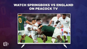 How to Watch Springboks vs England in Canada on Peacock [Best Hack]