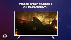 How To Watch Wolf Season 1 in Australia on Paramount Plus