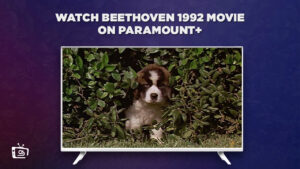 How To Watch Beethoven 1992 Movie in Singapore on Paramount Plus (Easy Steps)