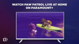 How To Watch PAW Patrol Live at Home in Singapore on Paramount Plus
