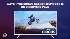 How To Watch The Circus Season 8 Episode 12 in Japan On Stan?  [Easy Guide]