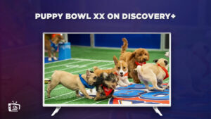 How to Watch Puppy Bowl XX in Netherlands on Discovery Plus