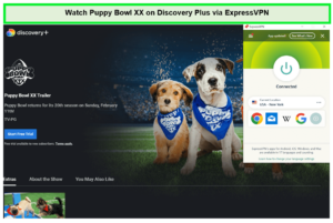 How to Watch Puppy Bowl XX in UK on Discovery Plus